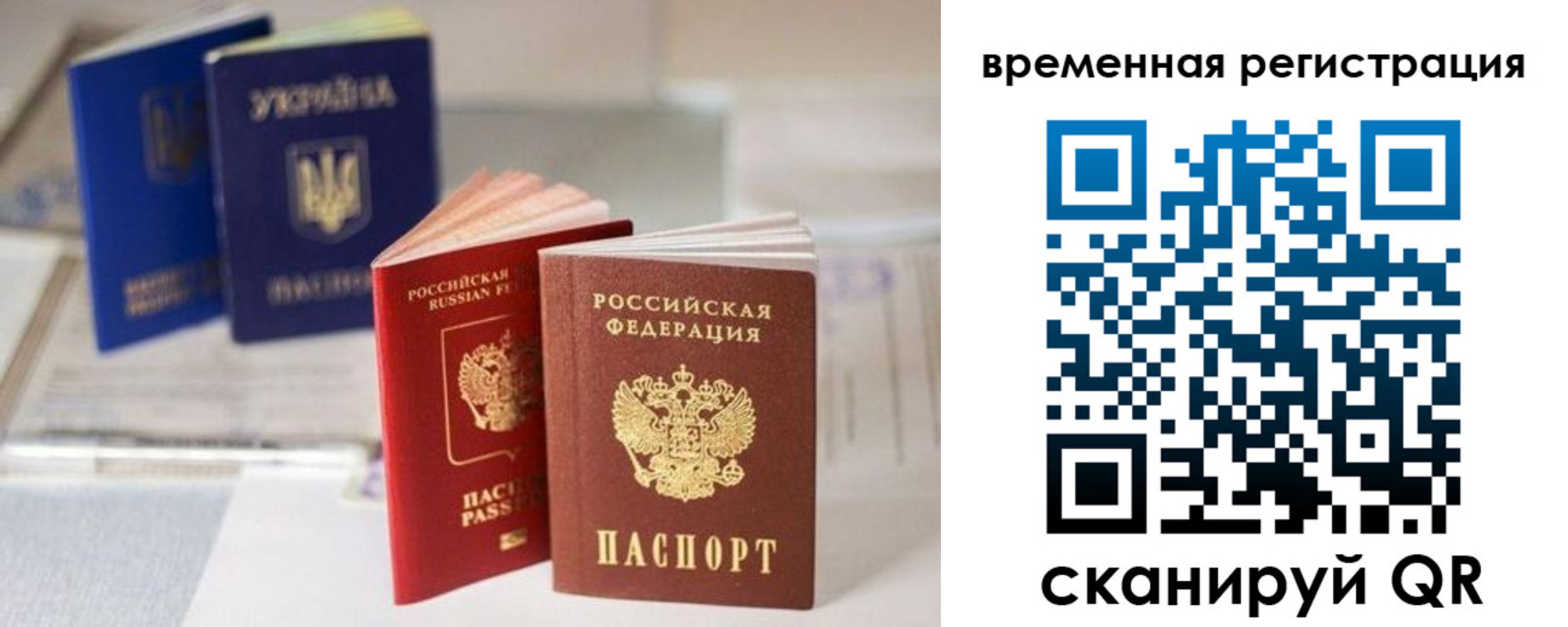 прописка поиск в Сасово